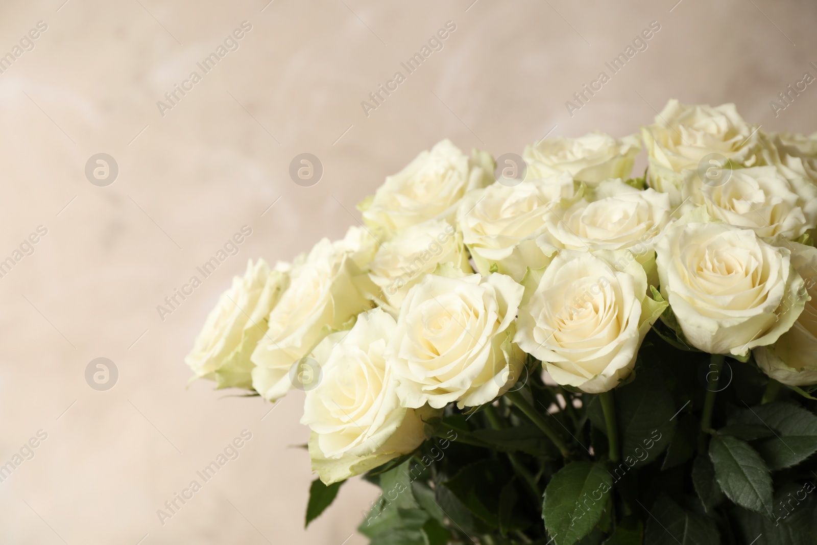 Photo of Luxury bouquet of fresh roses on beige background, closeup