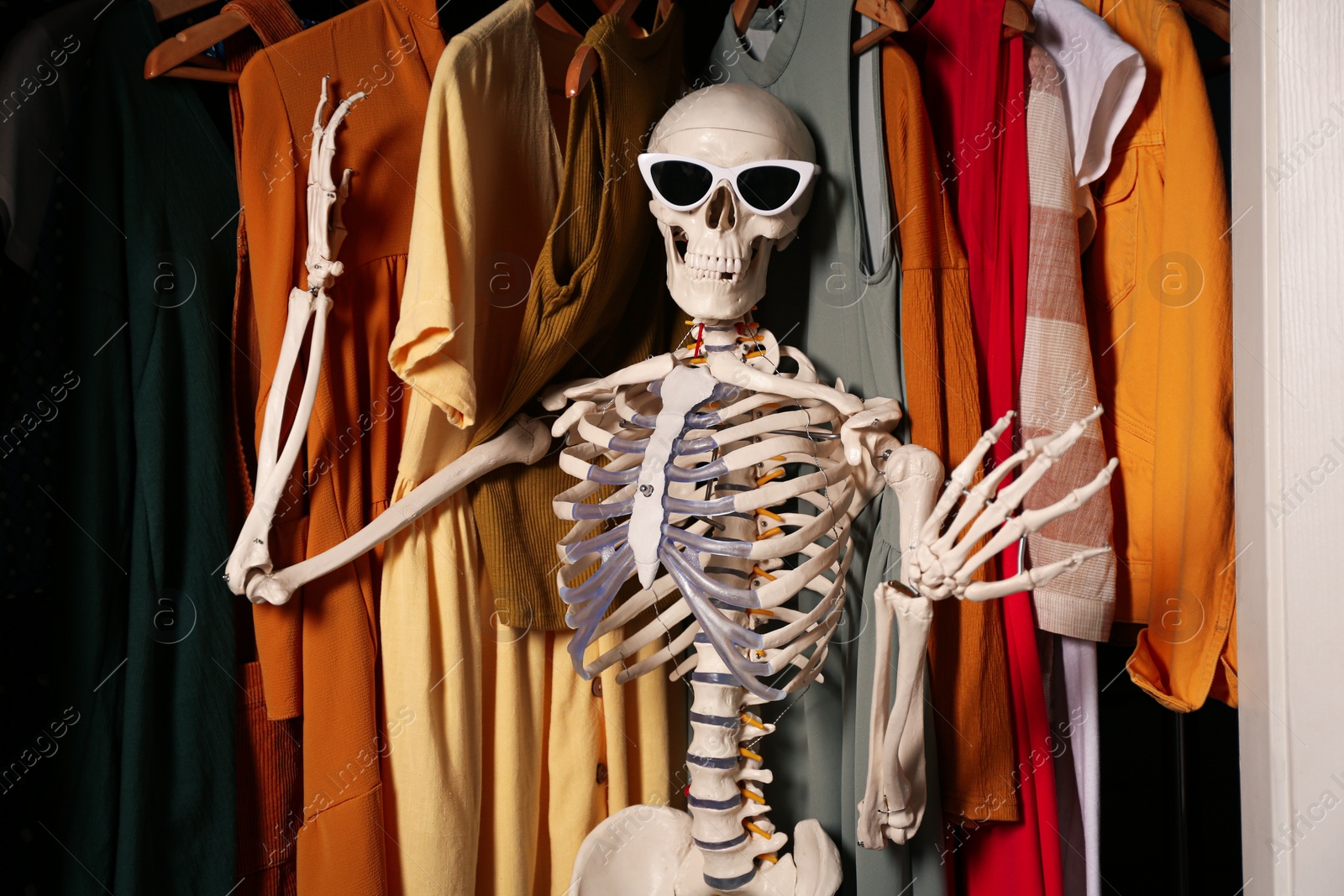 Photo of Artificial human skeleton model among clothes in wardrobe