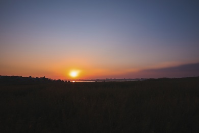 Photo of Beautiful view of field at sunrise. Early morning landscape