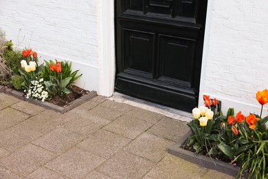 Photo of Different beautiful plants in street flower beds near house