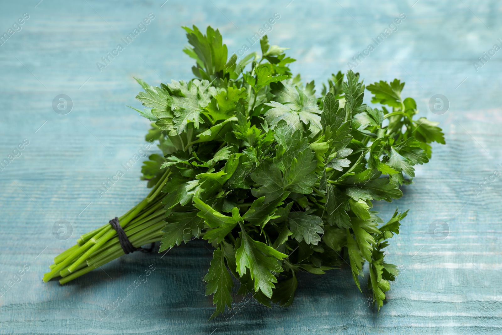 Photo of Bunch of fresh green parsley on blue wooden table