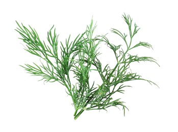 Photo of Sprigs of fresh dill isolated on white