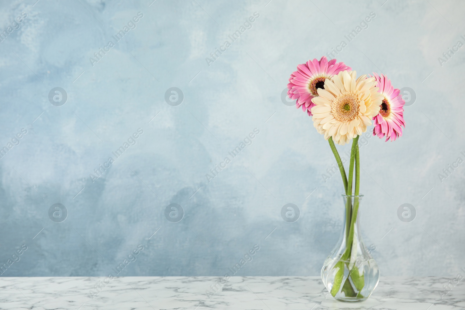 Photo of Bouquet of beautiful bright gerbera flowers in glass vase on marble table against color background. Space for text