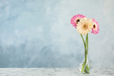 Bouquet of beautiful bright gerbera flowers in glass vase on marble table against color background. Space for text