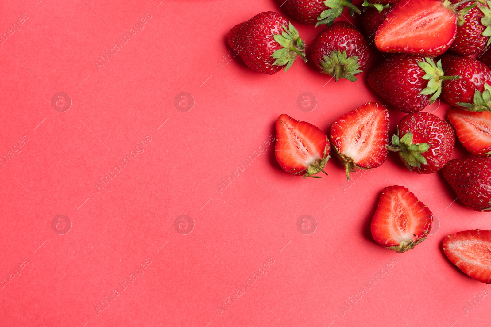 Photo of Tasty ripe strawberries on red background, flat lay. Space for text