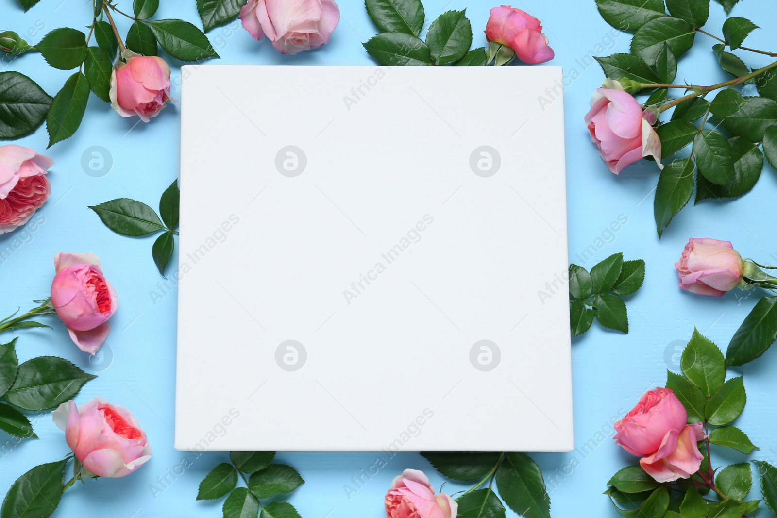 Photo of Blank canvas and beautiful pink roses on light blue background, flat lay. Space for design