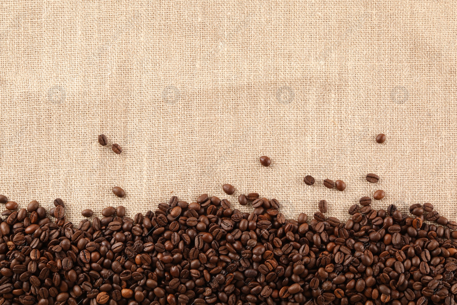 Photo of Many coffee beans on burlap fabric, top view. Space for text