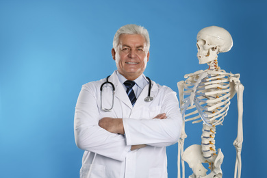 Senior orthopedist with human skeleton model on blue background