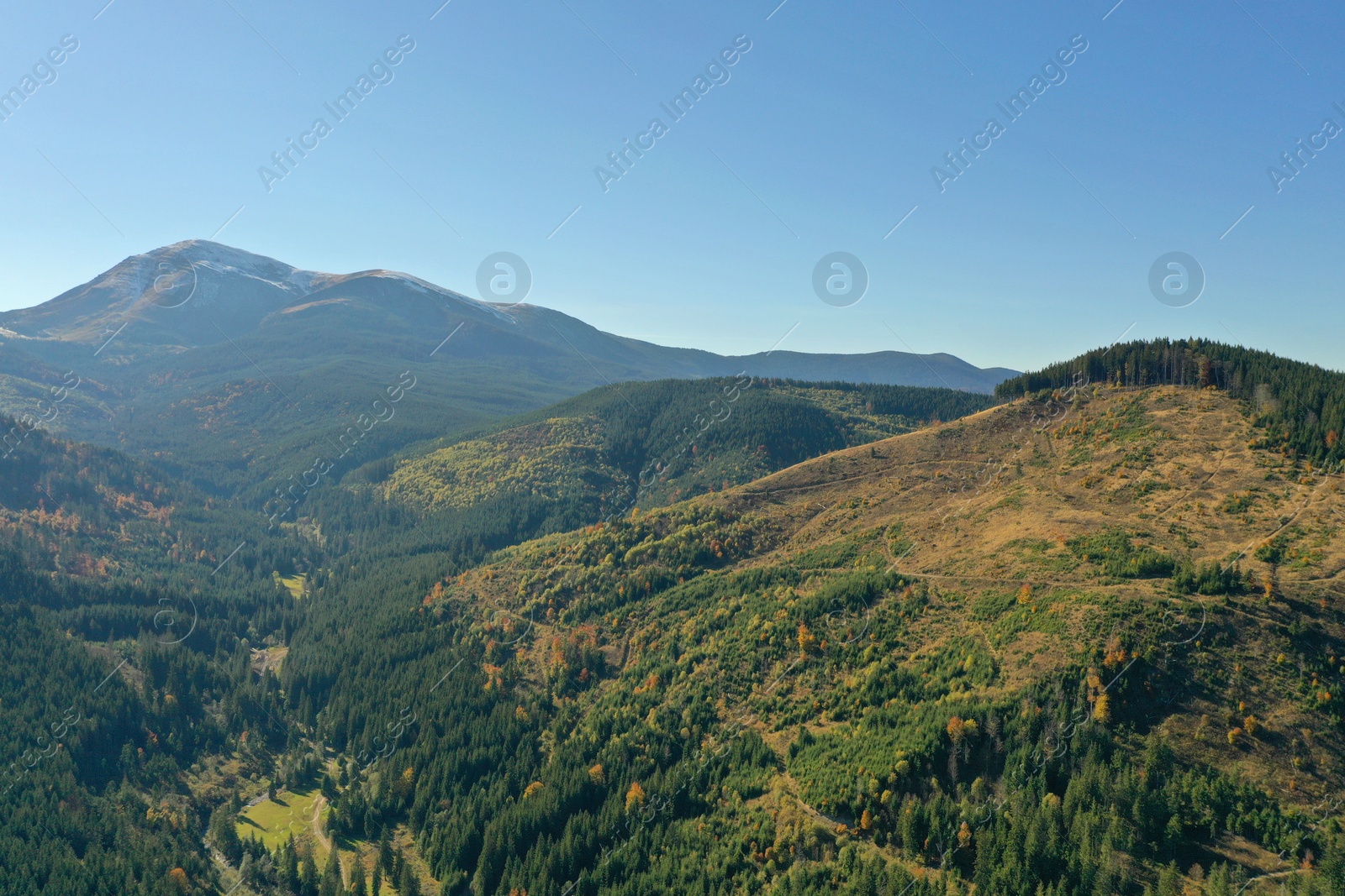 Photo of Beautiful mountains covered with forest on sunny day. Drone photography