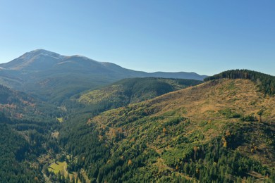 Photo of Beautiful mountains covered with forest on sunny day. Drone photography