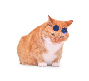 Cute ginger cat with stylish sunglasses on white background