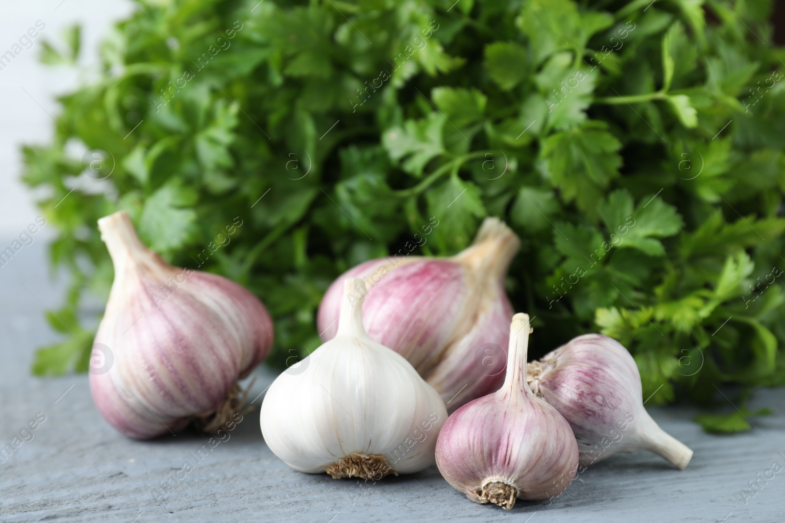 Photo of Fresh raw garlic and parsley on grey wooden table, closeup