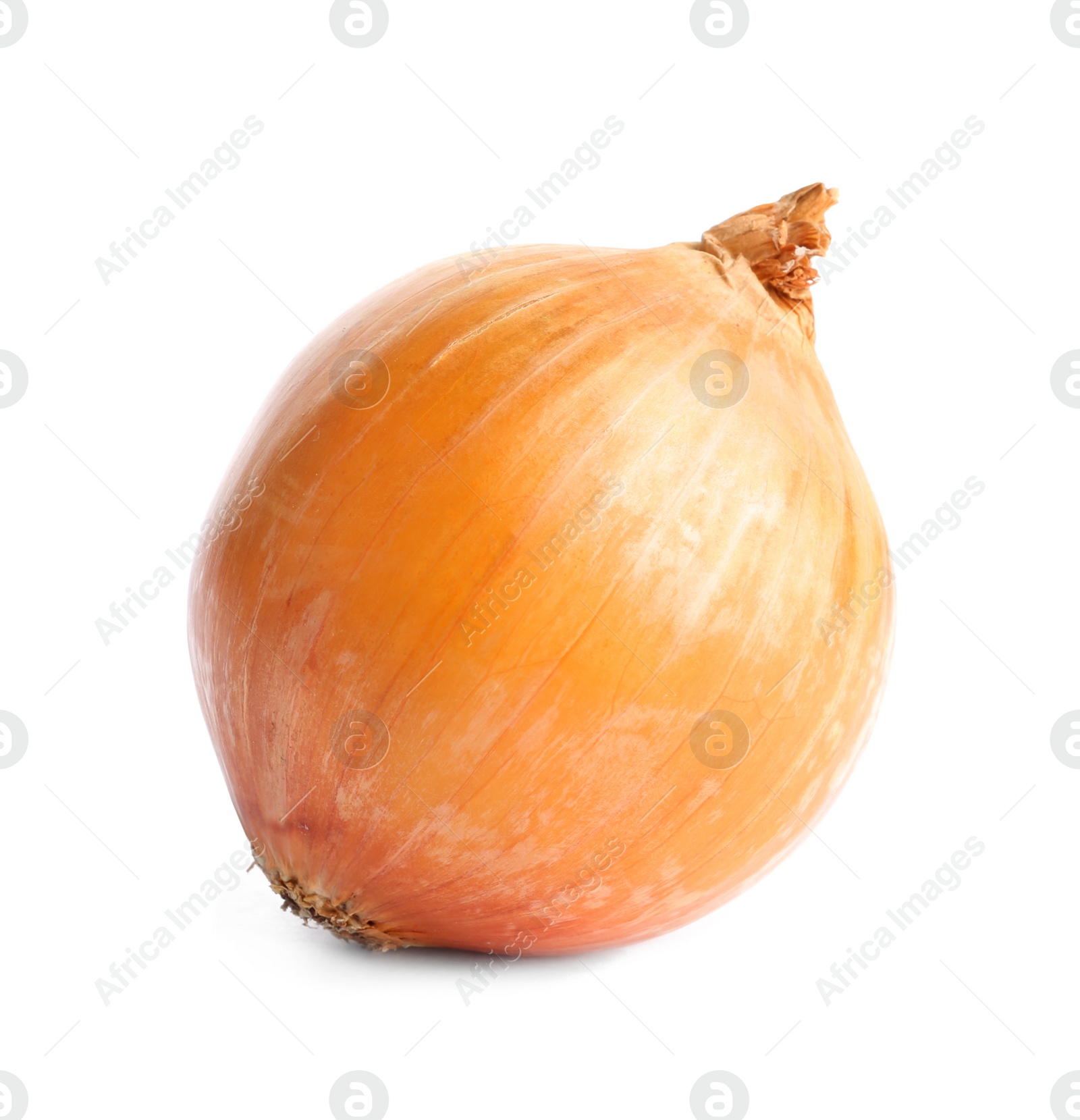 Photo of Fresh ripe onion bulb on white background