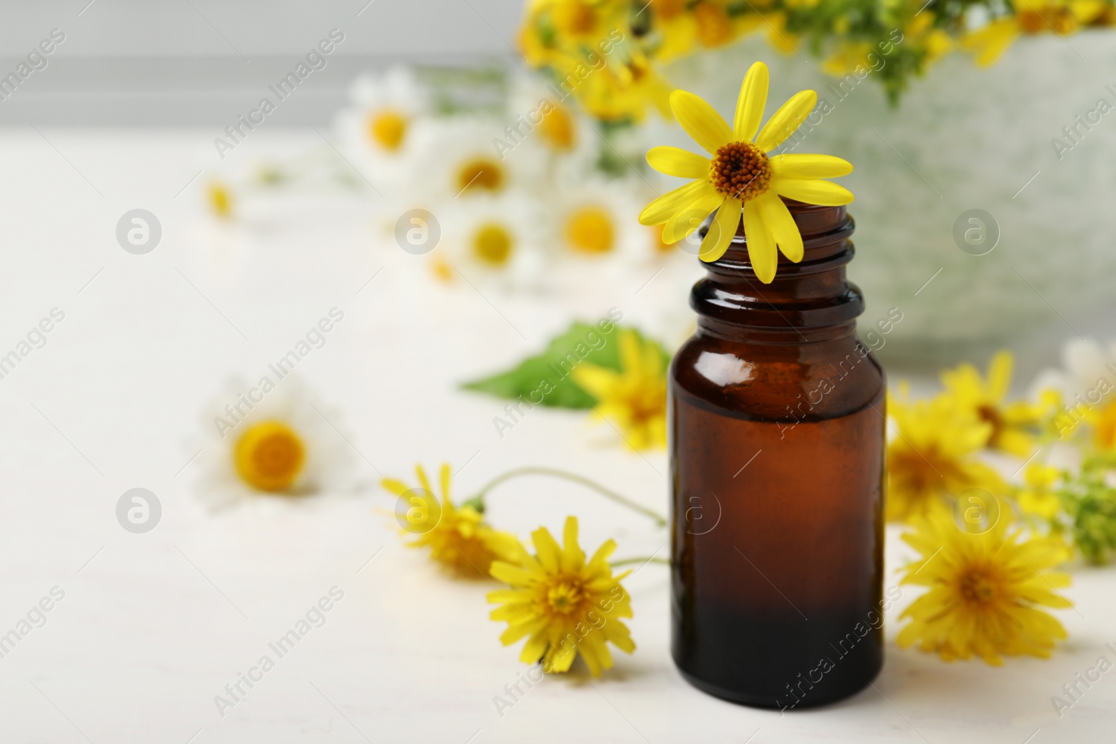 Photo of Bottle of essential oil with yellow flowers on table. Space for text