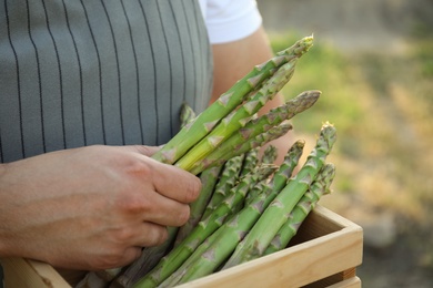 Photo of Man holding wooden crate with fresh raw asparagus outdoors, closeup