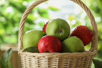 Different ripe apples with water drops in wicker basket on blurred background, closeup