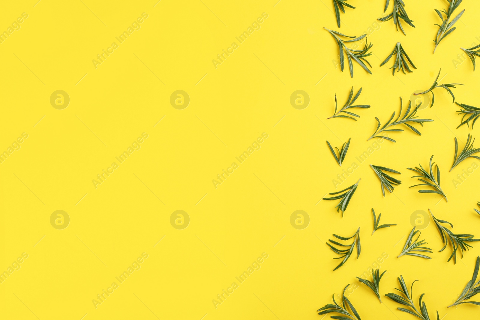 Photo of Flat lay composition with fresh rosemary on yellow background. Space for text