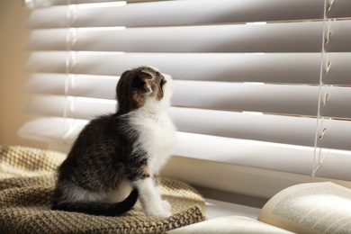 Photo of Adorable little kitten sitting on blanket near window indoors