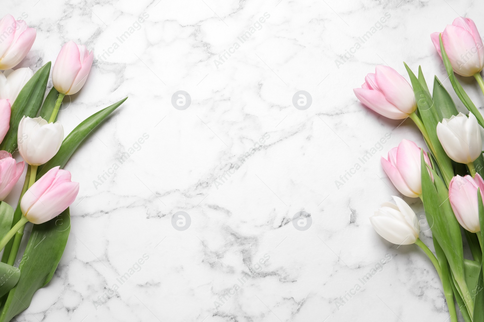 Photo of Beautiful tulips  on white marble table, flat lay. Space for text