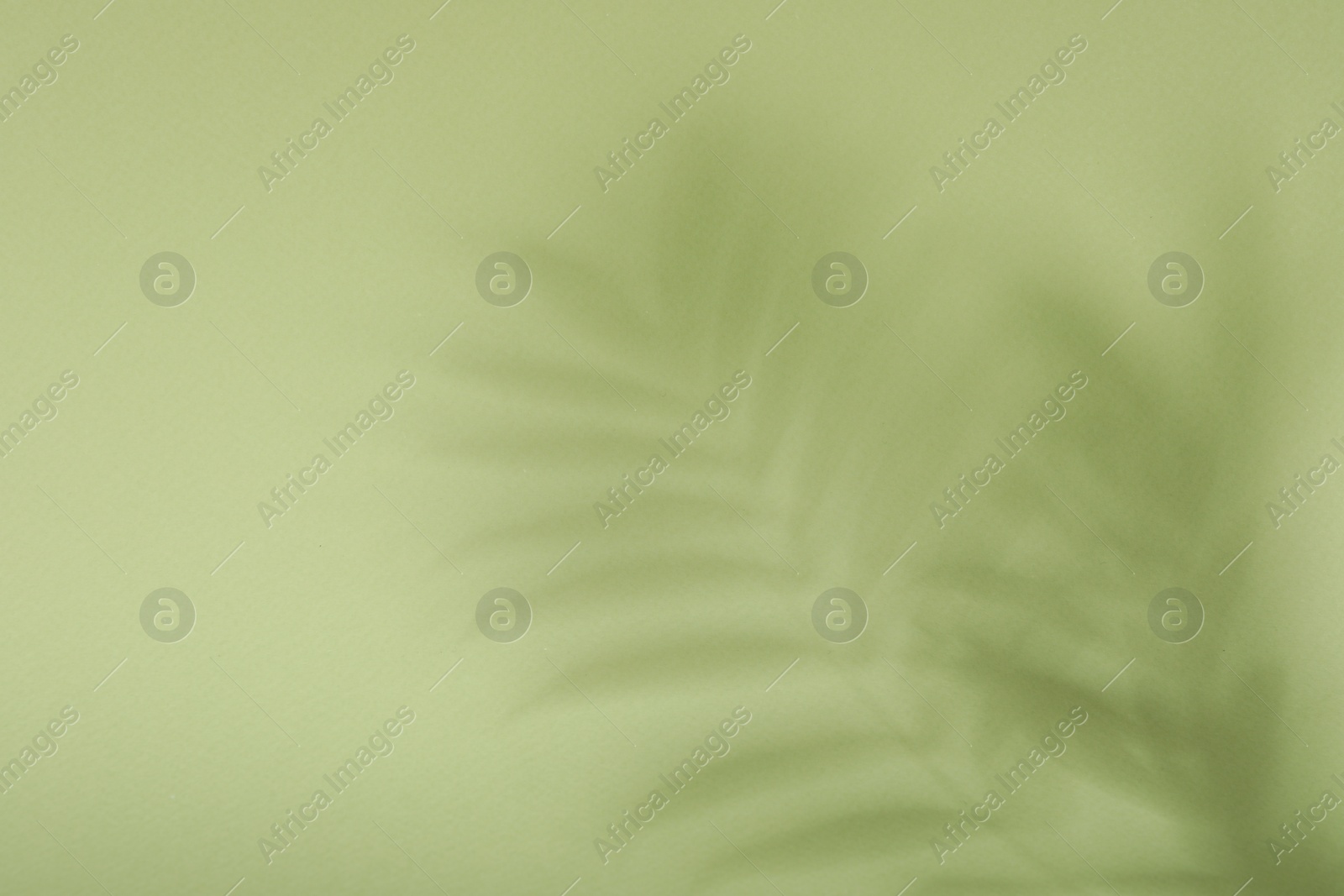 Photo of Presentation of product. Shadows on light green background. Space for text