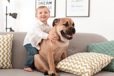 Photo of Cute little child with dog on couch at home