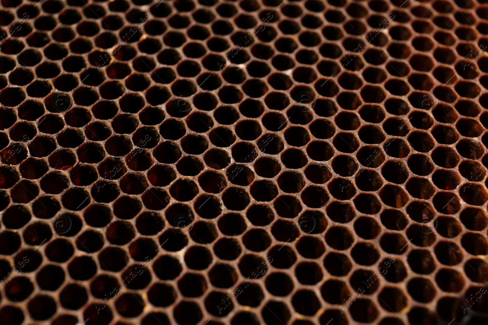 Photo of Texture of empty honeycomb as background, closeup view