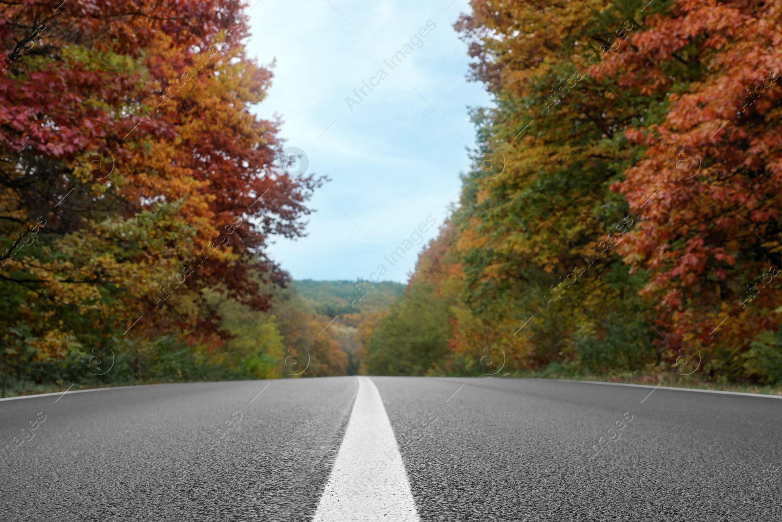 Photo of Beautiful view of asphalt highway going through autumn forest