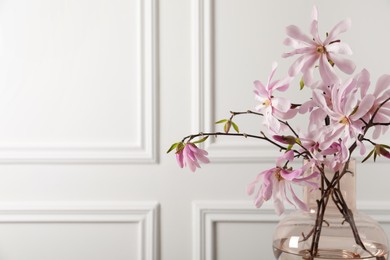 Magnolia tree branches with beautiful flowers in glass vase on white background, closeup. Space for text