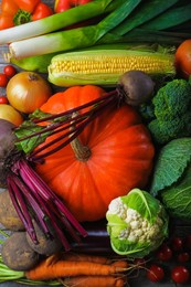 Photo of Different fresh ripe vegetables as background, top view. Farmer produce