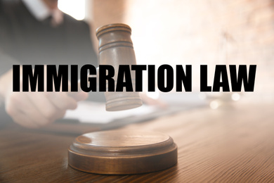 Judge with gavel at table in courtroom, closeup. Immigration law concept