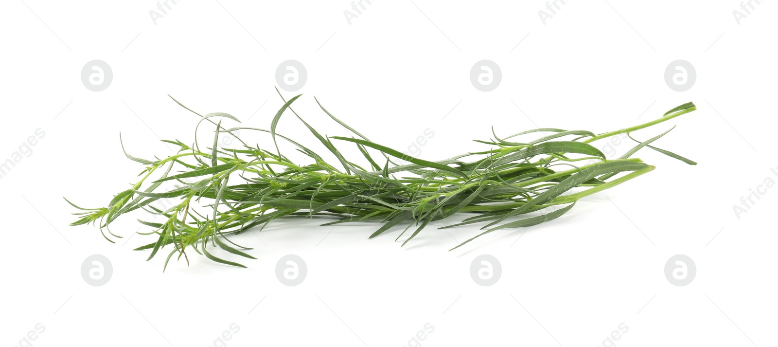 Photo of Sprigs of fresh tarragon on white background