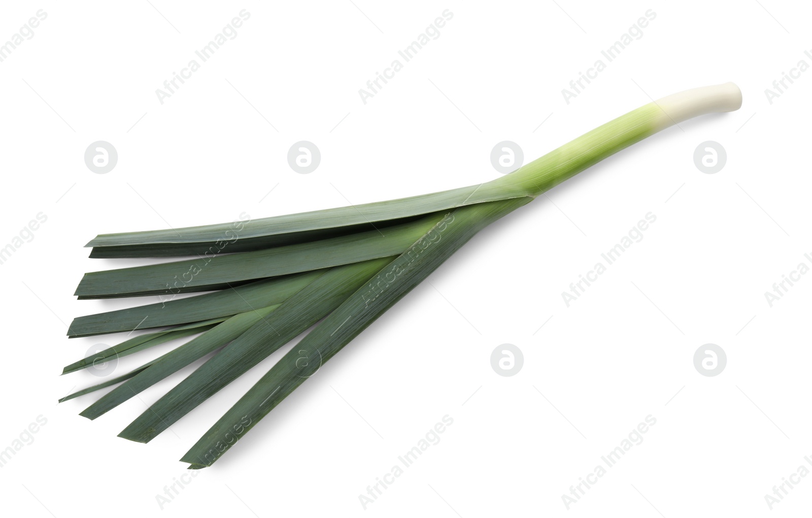Photo of Fresh raw leek isolated on white, top view