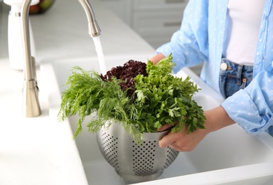 Woman washing fresh lettuce, dill and parsley in kitchen sink, closeup