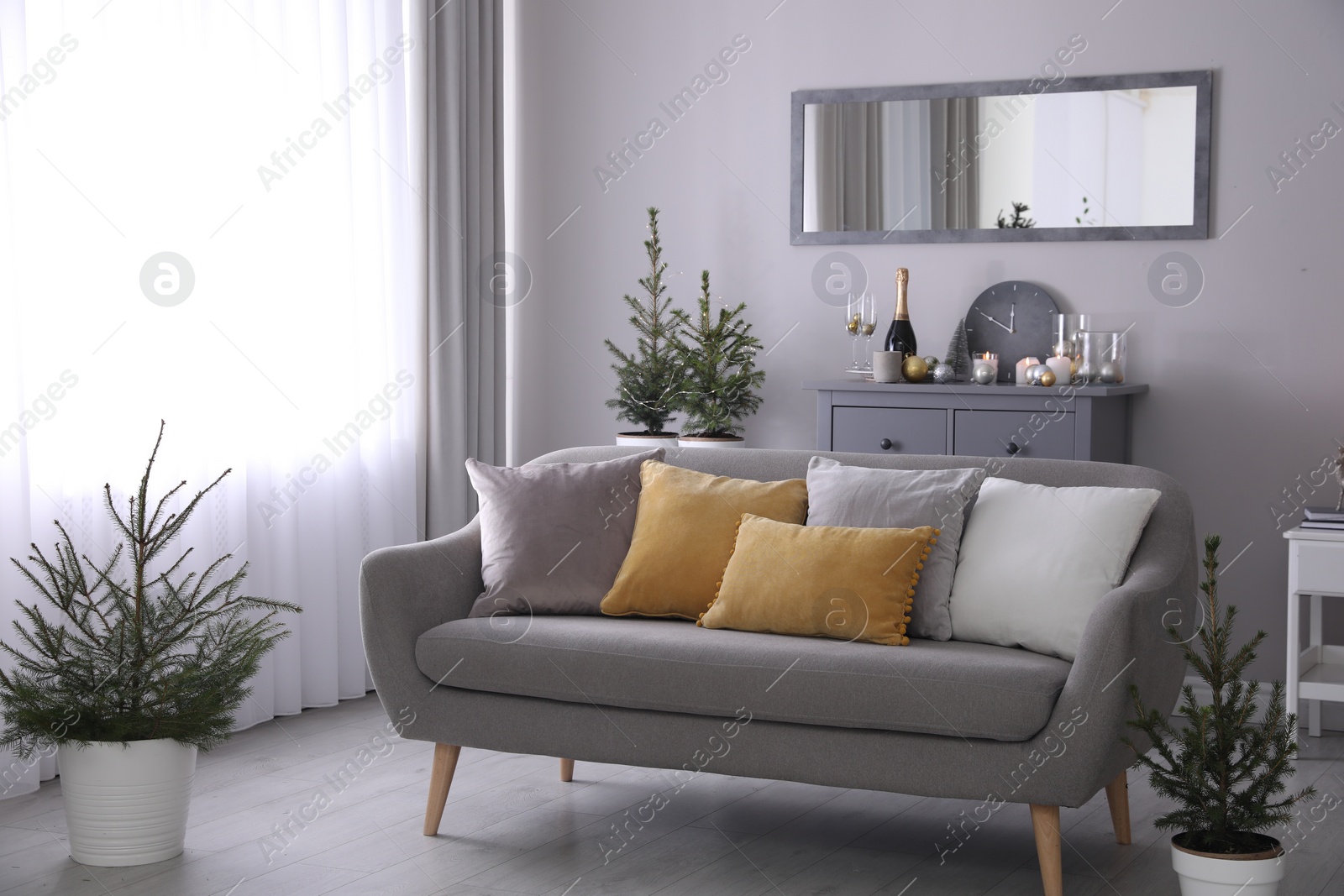 Photo of Beautiful room interior with decorated Christmas firs and comfortable sofa