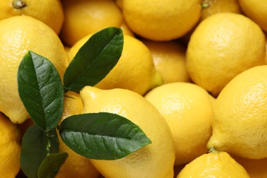 Photo of Fresh lemons and green leaves as background, closeup