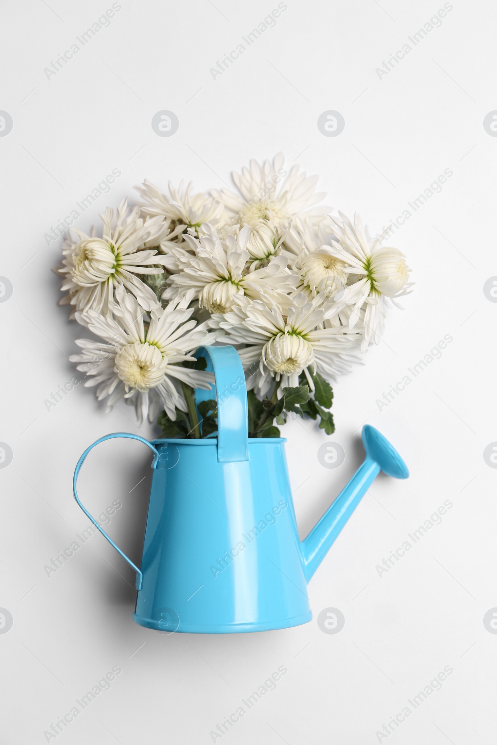 Photo of watering can with beautiful flowers on white background, top view