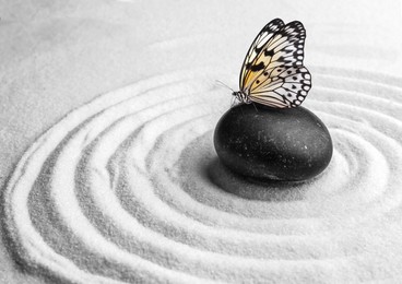 Beautiful butterfly and stone on white sand with pattern. Zen concept