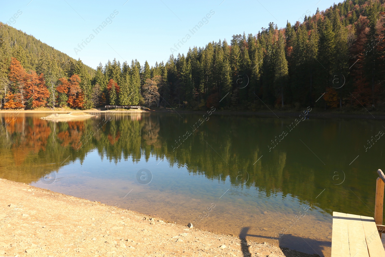 Photo of Beautiful mountain landscape with forest near water