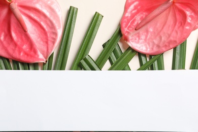 Photo of Creative composition with tropical flowers, green foliage and card on light background, top view