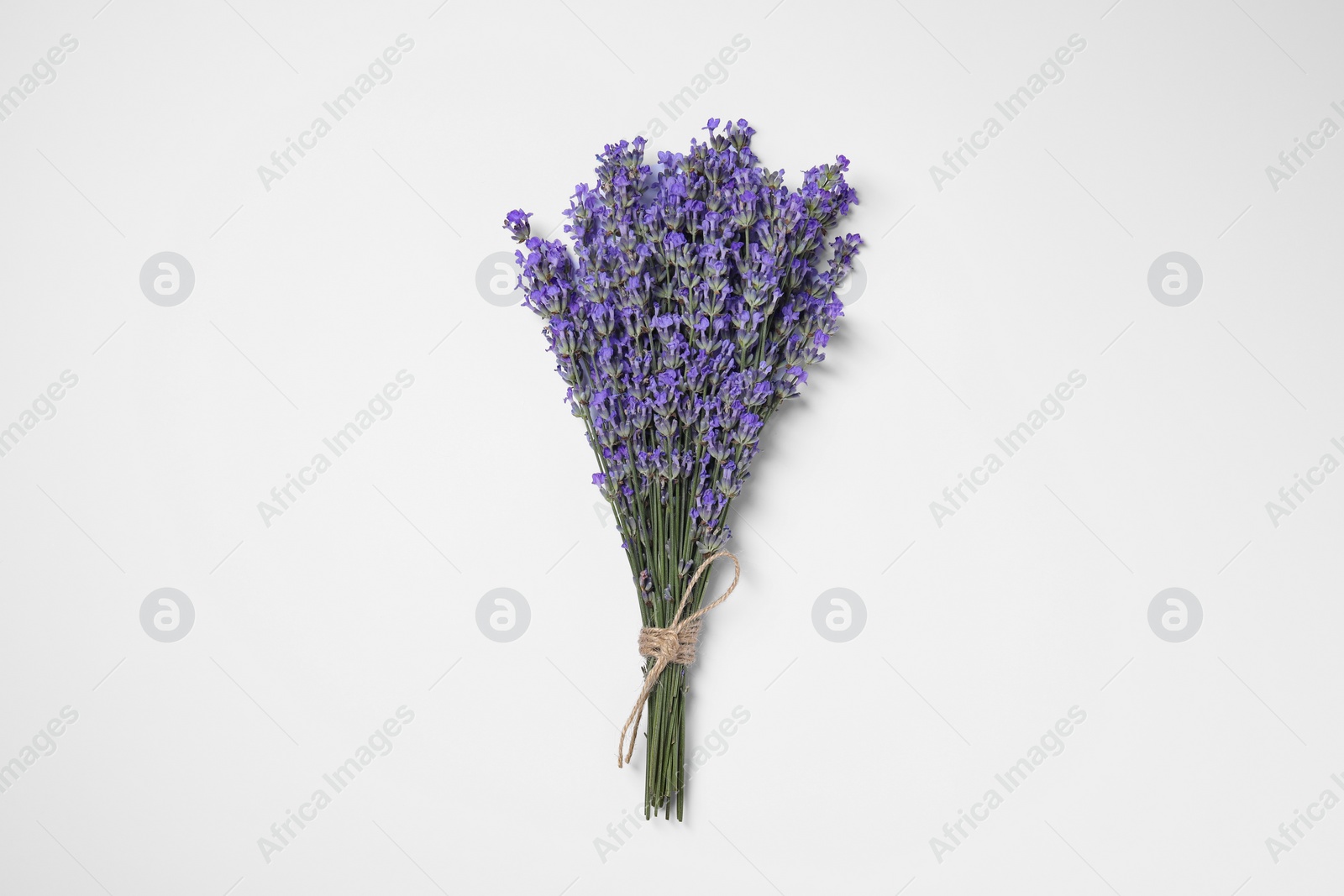 Photo of Bunch of aromatic lavender flowers on white background, top view