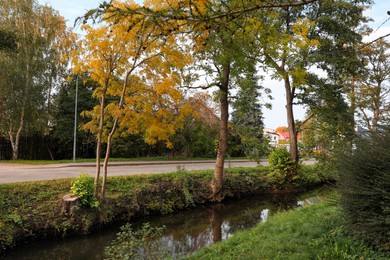 Photo of Picturesque view of river in beautiful park. Autumn season