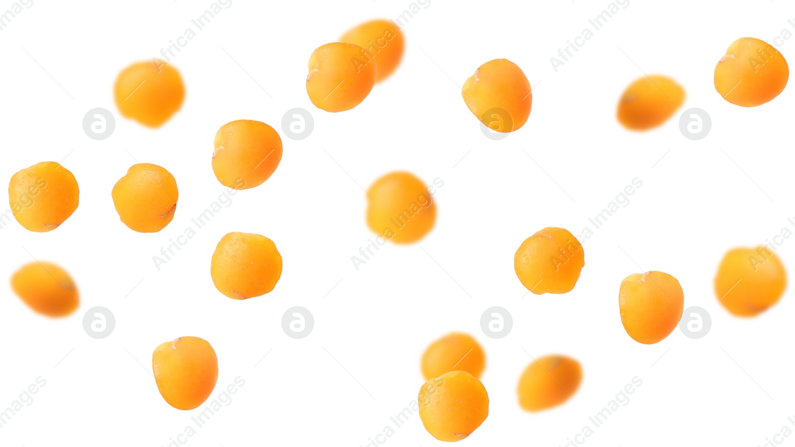 Image of Many lentils falling on white background, banner design. Vegan diet 