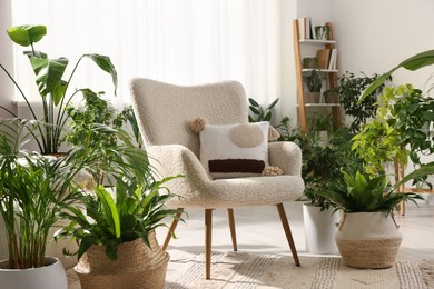Relaxing atmosphere. Many different potted houseplants around stylish armchair in room