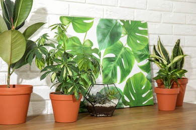 Photo of Potted home plants and picture on table against brick wall