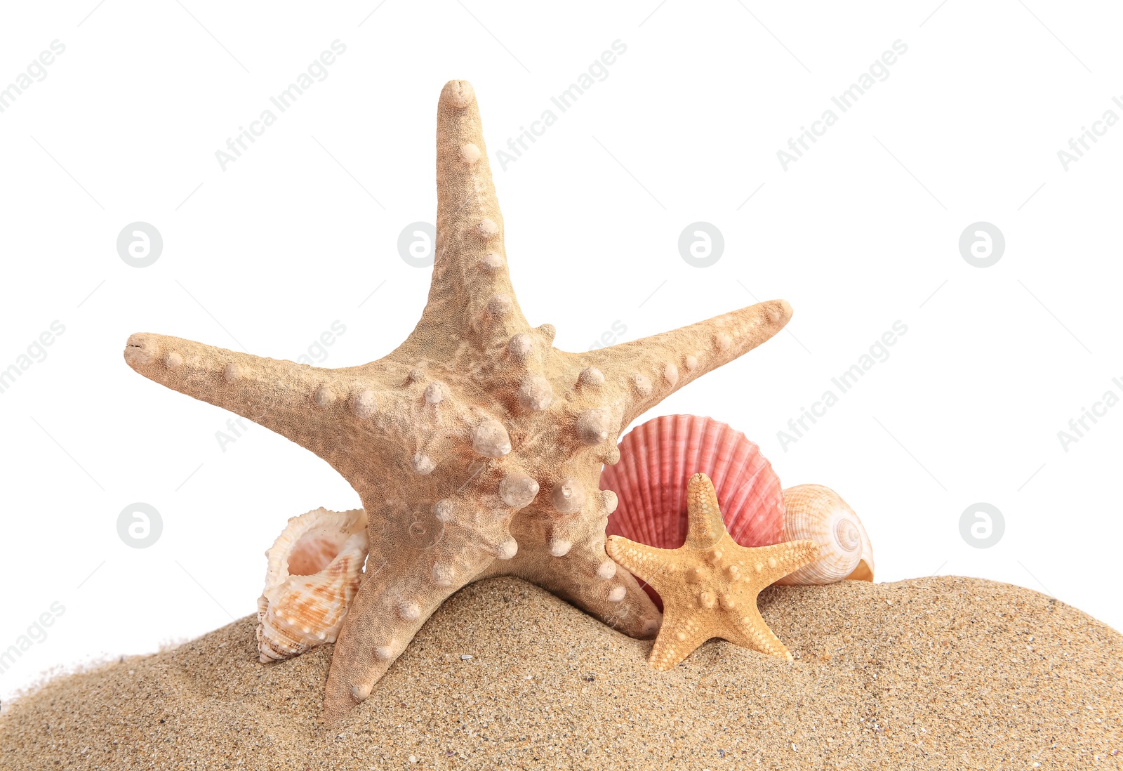 Photo of Beautiful sea stars and seashells in sand isolated on white