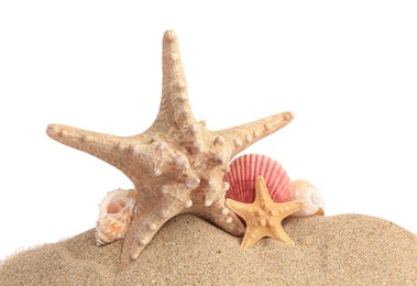 Photo of Beautiful sea stars and seashells in sand isolated on white