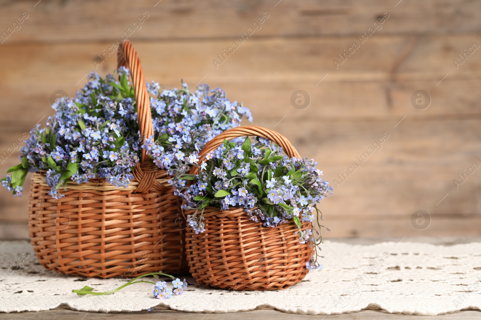 Photo of Beautiful forget-me-not flowers in wicker baskets on wooden table, closeup. Space for text