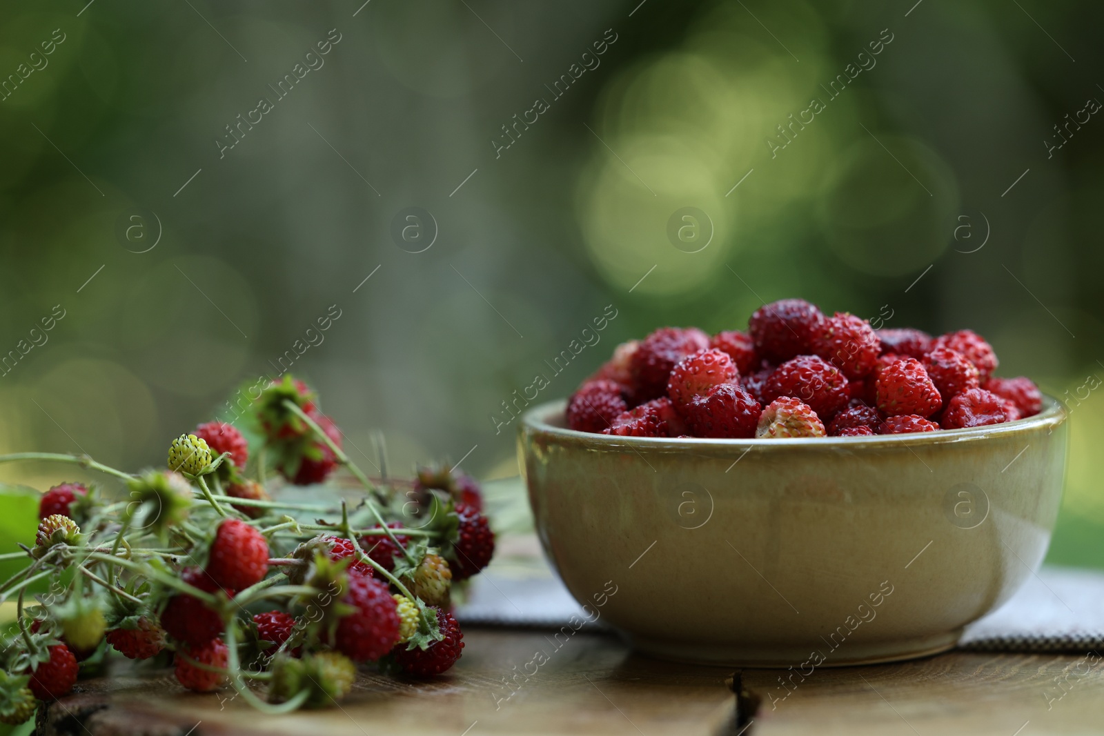 Photo of Bowl and tasty wild strawberries on wooden stump against blurred green background. Space for text