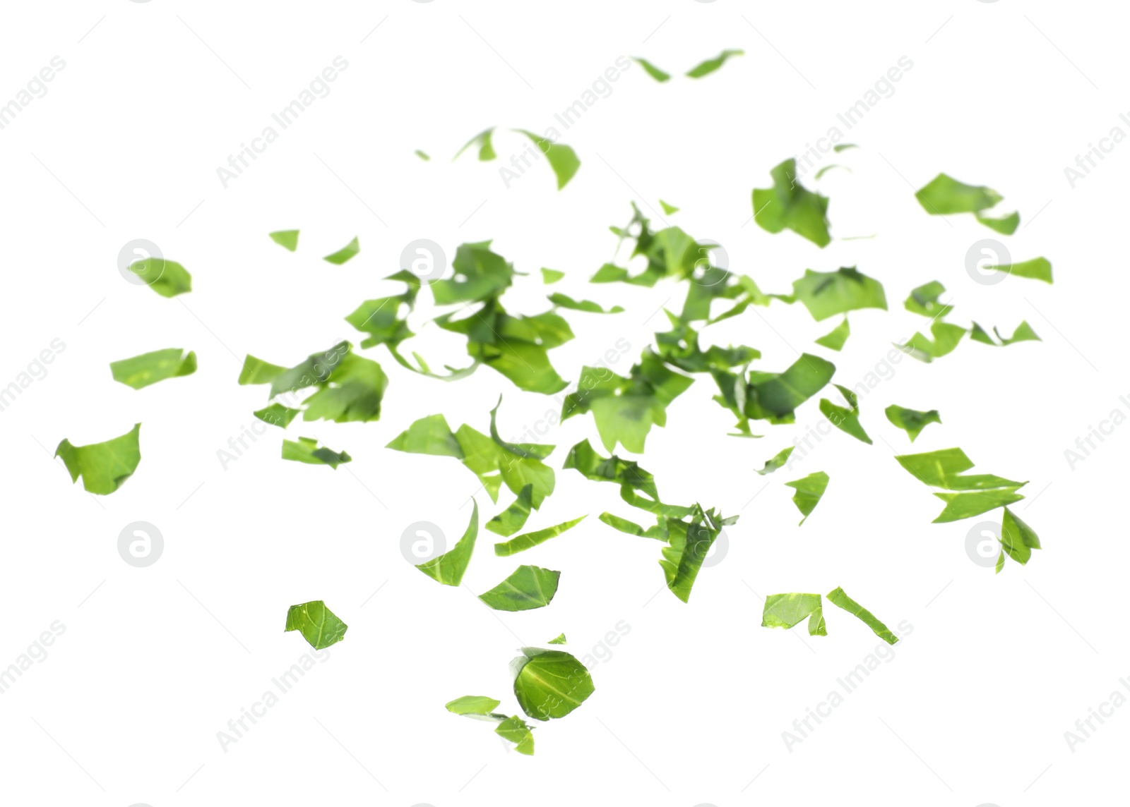 Photo of Cut fresh green parsley on white background