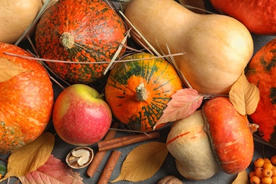 Many different pumpkins as background, closeup. Autumn holidays